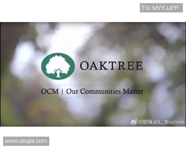 橡树资本欲接管国际米兰，俱乐部高层或面临变动