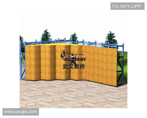 武汉攀岩队个人能力分析与表现评估的综合研究报告