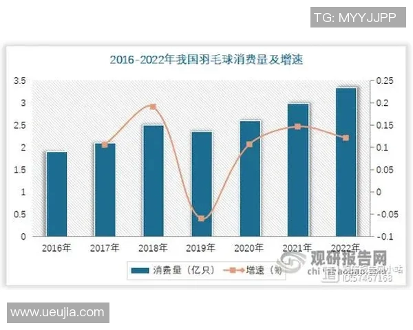 武汉羽毛球队意识表现的数据分析与提升策略探讨