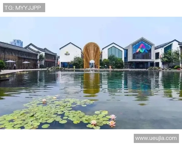 深度对话：周娜如何在王者荣耀中找到自我与梦想的平衡