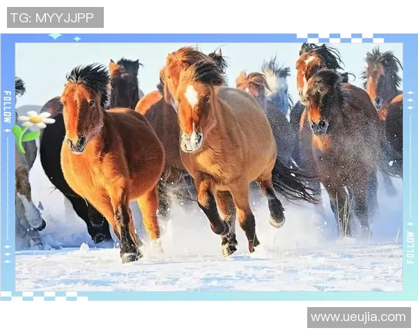 职业联赛分析：JDG在耐力赛中的卓越表现与战术解析